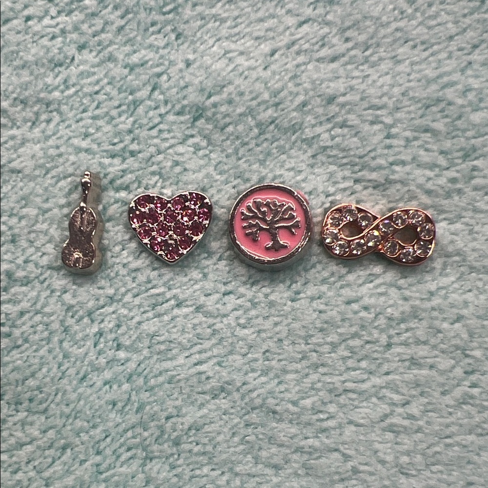 Floating Locket Charms